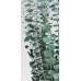 EUCALYPTUS PRESERVED FROSTED Green-